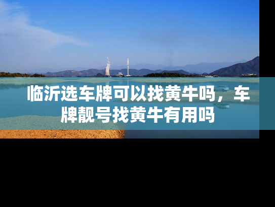 临沂选车牌可以找黄牛吗，车牌靓号找黄牛有用吗