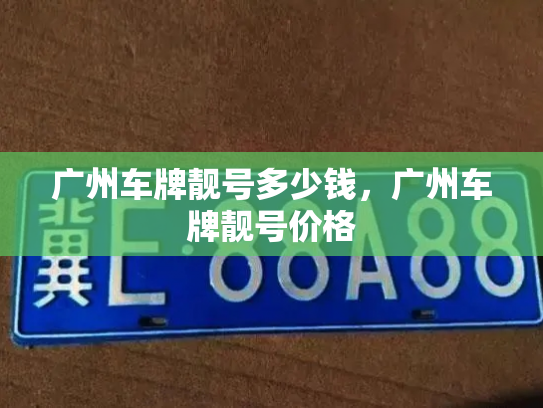 广州车牌靓号多少钱，广州车牌靓号价格-第3张图片-七号汽车选号