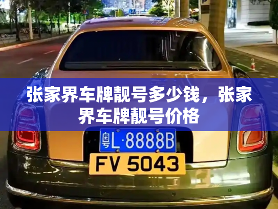 张家界车牌靓号多少钱,张家界车牌靓号价格-第3张图片-七号汽车选号 张家界车牌靓号多少钱,张家界车牌靓号价格-第3张图片-七号汽车选号