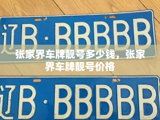 张家界车牌靓号多少钱,张家界车牌靓号价格-第4张图片-七号汽车选号 张家界车牌靓号多少钱,张家界车牌靓号价格-第4张图片-七号汽车选号