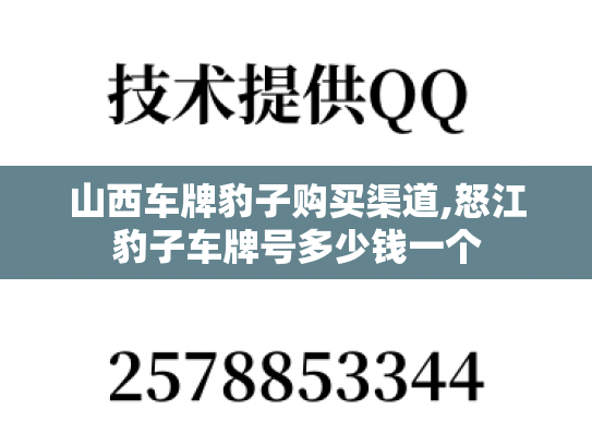 山西车牌豹子购买渠道,怒江豹子车牌号多少钱一个