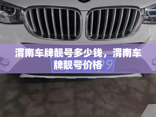 渭南车牌靓号多少钱，渭南车牌靓号价格-第3张图片-七号汽车选号
