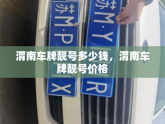 渭南车牌靓号多少钱，渭南车牌靓号价格-第4张图片-七号汽车选号
