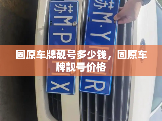 固原车牌靓号多少钱，固原车牌靓号价格-第3张图片-七号汽车选号