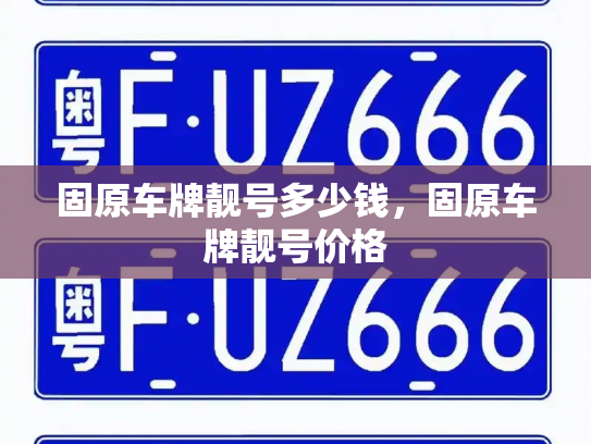 固原车牌靓号多少钱，固原车牌靓号价格-第4张图片-七号汽车选号
