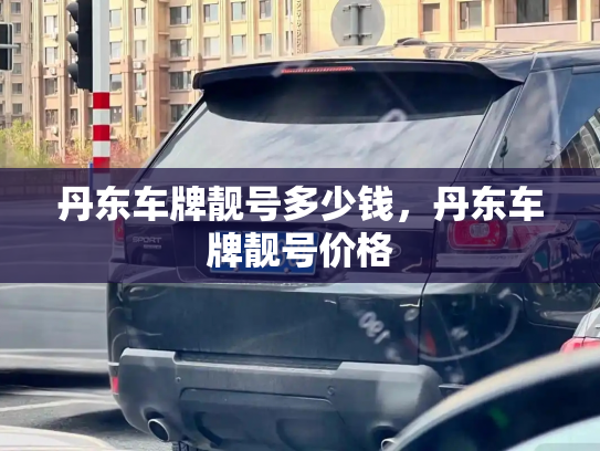 丹东车牌靓号多少钱,丹东车牌靓号价格-第4张图片-七号汽车选号 丹东车牌靓号多少钱,丹东车牌靓号价格-第4张图片-七号汽车选号