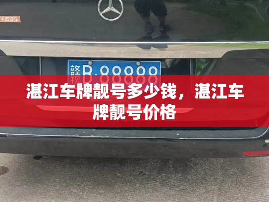 湛江车牌靓号多少钱,湛江车牌靓号价格-第3张图片-七号汽车选号 湛江车牌靓号多少钱,湛江车牌靓号价格-第3张图片-七号汽车选号