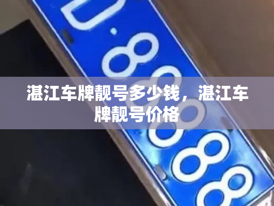 湛江车牌靓号多少钱,湛江车牌靓号价格-第4张图片-七号汽车选号 湛江车牌靓号多少钱,湛江车牌靓号价格-第4张图片-七号汽车选号