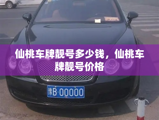 仙桃车牌靓号多少钱，仙桃车牌靓号价格-第4张图片-七号汽车选号