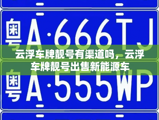 云浮车牌靓号有渠道吗,云浮车牌靓号出售新能源车-第3张图片-七号汽车选号 云浮车牌靓号有渠道吗,云浮车牌靓号出售新能源车-第3张图片-七号汽车选号