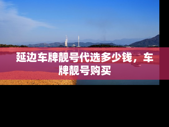 延边车牌靓号代选多少钱，车牌靓号购买