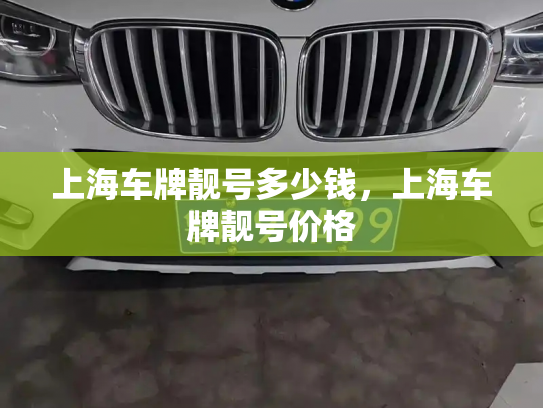 上海车牌靓号多少钱，上海车牌靓号价格-第2张图片-七号汽车选号