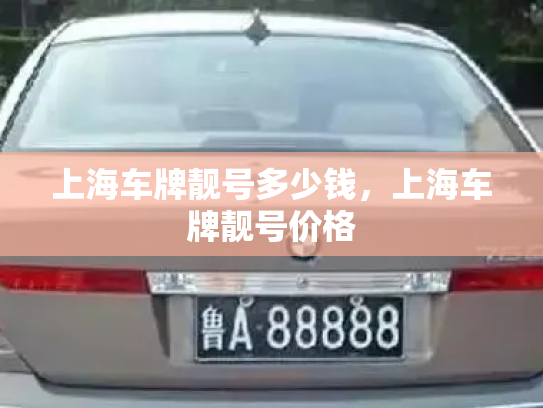 上海车牌靓号多少钱，上海车牌靓号价格-第3张图片-七号汽车选号