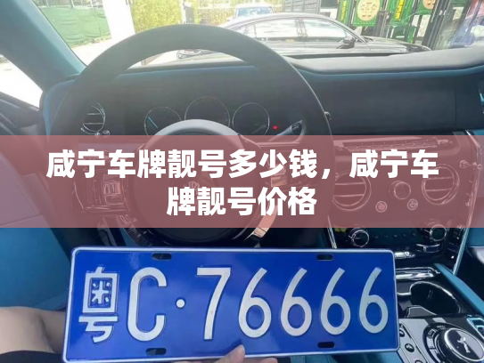 咸宁车牌靓号多少钱，咸宁车牌靓号价格-第3张图片-七号汽车选号