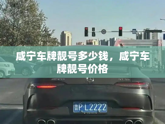 咸宁车牌靓号多少钱，咸宁车牌靓号价格-第4张图片-七号汽车选号