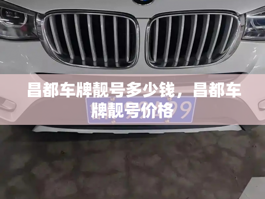 昌都车牌靓号多少钱，昌都车牌靓号价格-第4张图片-七号汽车选号