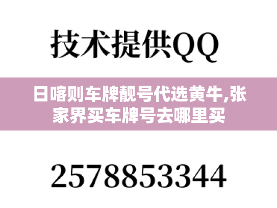 日喀则车牌靓号代选黄牛,张家界买车牌号去哪里买