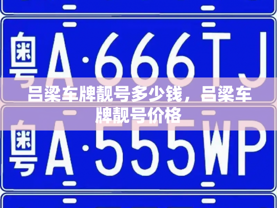 吕梁车牌靓号多少钱，吕梁车牌靓号价格-第3张图片-七号汽车选号