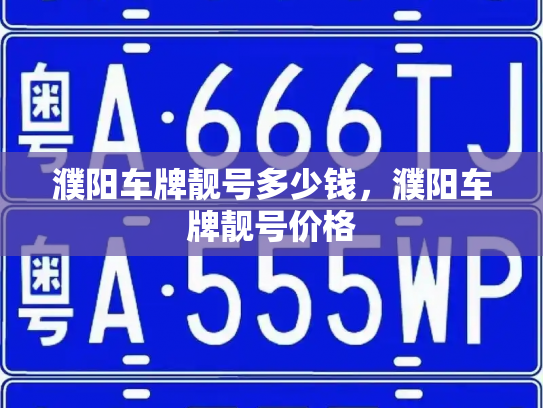 濮阳车牌靓号多少钱，濮阳车牌靓号价格-第3张图片-七号汽车选号
