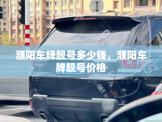 濮阳车牌靓号多少钱，濮阳车牌靓号价格-第4张图片-七号汽车选号