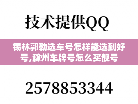 锡林郭勒选车号怎样能选到好号,滁州车牌号怎么买靓号-第1张图片-七号汽车选号