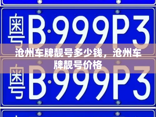 沧州车牌靓号多少钱，沧州车牌靓号价格-第3张图片-七号汽车选号