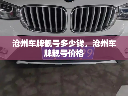 沧州车牌靓号多少钱，沧州车牌靓号价格-第4张图片-七号汽车选号
