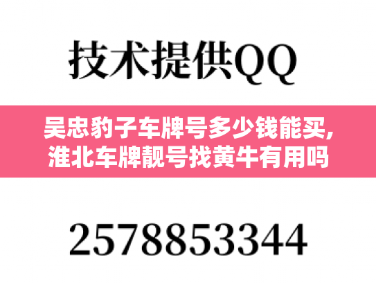 吴忠豹子车牌号多少钱能买,淮北车牌靓号找黄牛有用吗-第1张图片-七号汽车选号
