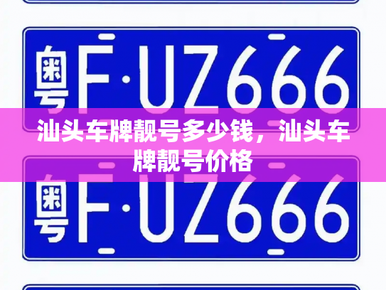 汕头车牌靓号多少钱，汕头车牌靓号价格-第3张图片-七号汽车选号