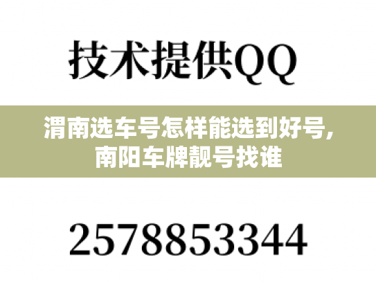 渭南选车号怎样能选到好号,南阳车牌靓号找谁