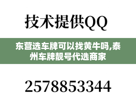 东营选车牌可以找黄牛吗,泰州车牌靓号代选商家-第1张图片-七号汽车选号