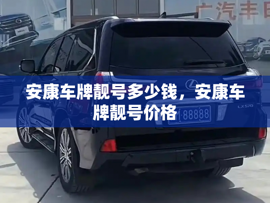 安康车牌靓号多少钱,安康车牌靓号价格-第3张图片-七号汽车选号 安康车牌靓号多少钱,安康车牌靓号价格-第3张图片-七号汽车选号