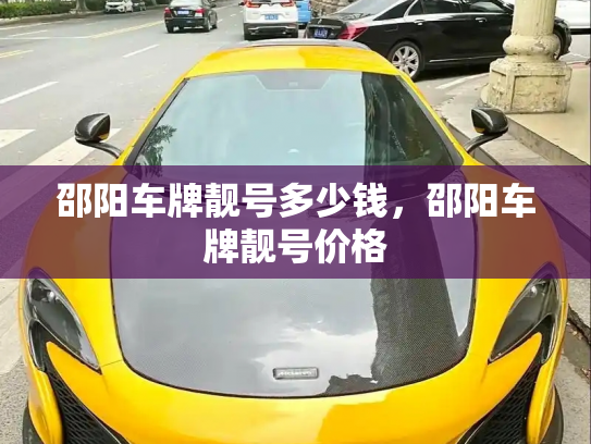 邵阳车牌靓号多少钱，邵阳车牌靓号价格-第3张图片-七号汽车选号