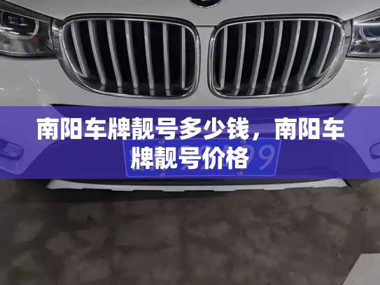 南阳车牌靓号多少钱，南阳车牌靓号价格-第3张图片-七号汽车选号