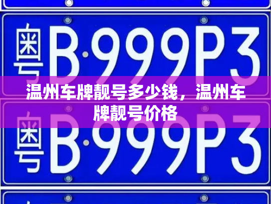 温州车牌靓号多少钱，温州车牌靓号价格-第4张图片-七号汽车选号