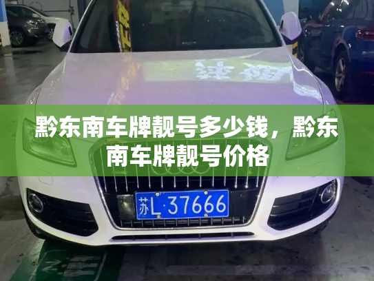 黔东南车牌靓号多少钱，黔东南车牌靓号价格-第3张图片-七号汽车选号