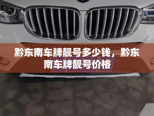 黔东南车牌靓号多少钱，黔东南车牌靓号价格-第4张图片-七号汽车选号