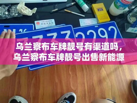 乌兰察布车牌靓号有渠道吗,乌兰察布车牌靓号出售新能源车-第2张图片-七号汽车选号 乌兰察布车牌靓号有渠道吗,乌兰察布车牌靓号出售新能源车-第2张图片-七号汽车选号