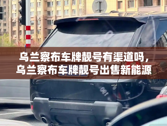 乌兰察布车牌靓号有渠道吗,乌兰察布车牌靓号出售新能源车-第3张图片-七号汽车选号 乌兰察布车牌靓号有渠道吗,乌兰察布车牌靓号出售新能源车-第3张图片-七号汽车选号