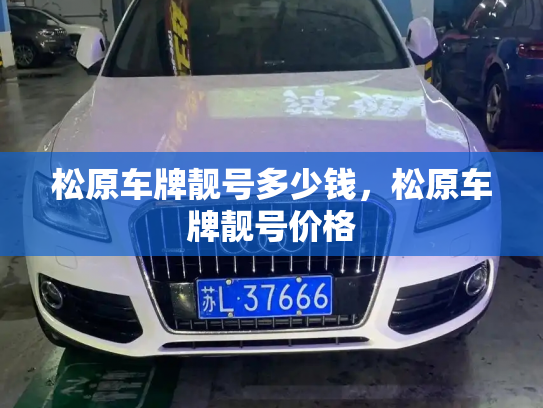 松原车牌靓号多少钱,松原车牌靓号价格-第3张图片-七号汽车选号 松原车牌靓号多少钱,松原车牌靓号价格-第3张图片-七号汽车选号
