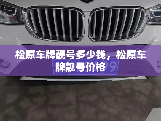 松原车牌靓号多少钱,松原车牌靓号价格-第4张图片-七号汽车选号 松原车牌靓号多少钱,松原车牌靓号价格-第4张图片-七号汽车选号