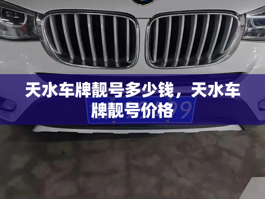 天水车牌靓号多少钱，天水车牌靓号价格-第3张图片-七号汽车选号