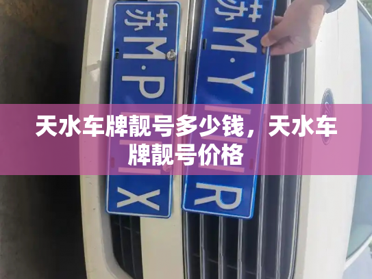 天水车牌靓号多少钱，天水车牌靓号价格-第4张图片-七号汽车选号