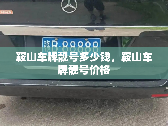 鞍山车牌靓号多少钱，鞍山车牌靓号价格-第3张图片-七号汽车选号