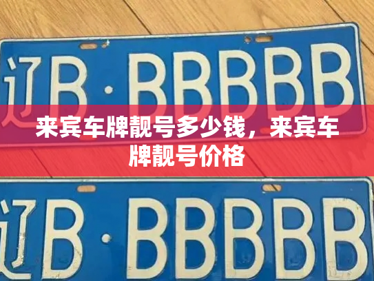 来宾车牌靓号多少钱，来宾车牌靓号价格-第3张图片-七号汽车选号