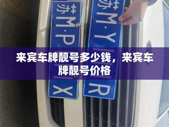 来宾车牌靓号多少钱，来宾车牌靓号价格-第4张图片-七号汽车选号