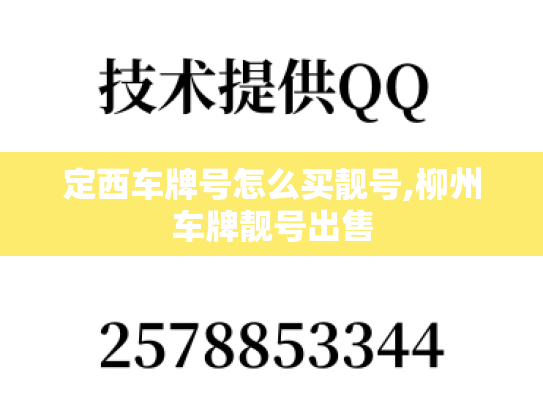 定西车牌号怎么买靓号,柳州车牌靓号出售