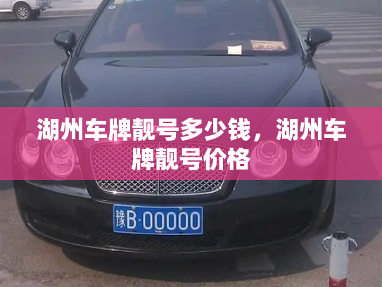 湖州车牌靓号多少钱，湖州车牌靓号价格-第4张图片-七号汽车选号