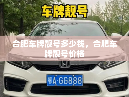 合肥车牌靓号多少钱，合肥车牌靓号价格-第4张图片-七号汽车选号