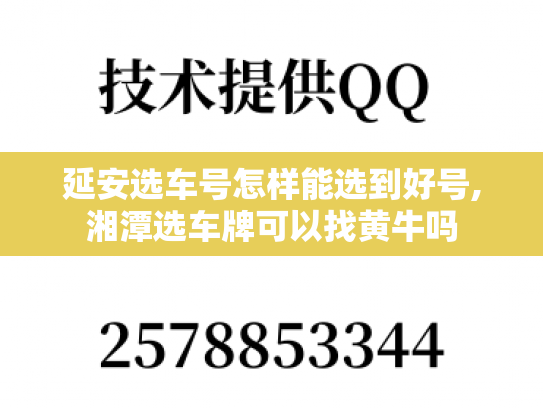 延安选车号怎样能选到好号,湘潭选车牌可以找黄牛吗